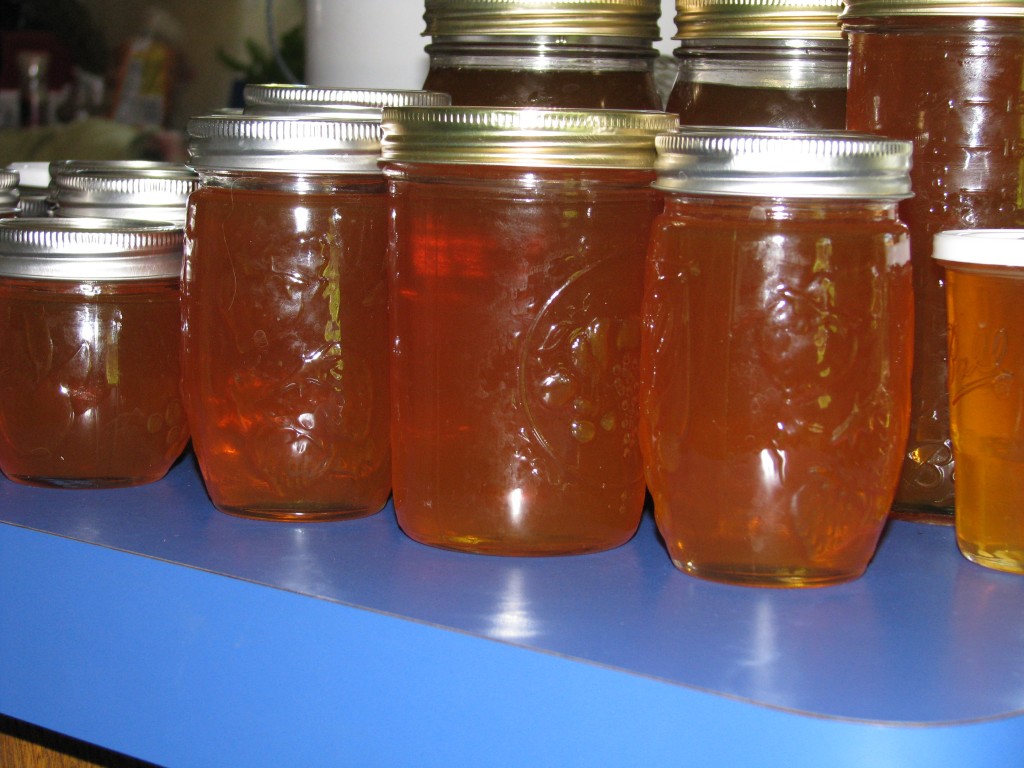 Honey Extraction by Crushing Comb – Finch Frolic Garden Permaculture