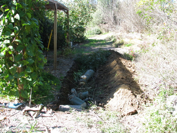 Using Pathways For Rain Catchment – Finch Frolic Garden Permaculture